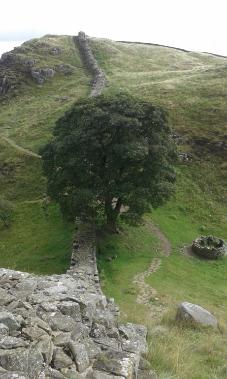 Day 4 - Sycamore Gap to Holmhead (12)